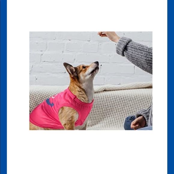 2/$10; 4/$15 🎉HP🎉 NWT,  Pink Anchor Little Pet Tee - Picture 2 of 3